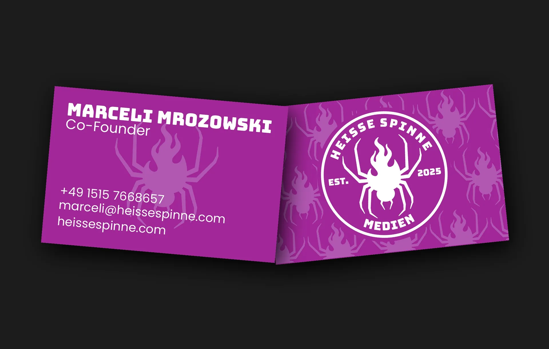 Visitenkarten Set Corporate Design Heisse Spinne Werbeagentur